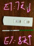 贺女士移植XY囊胚成功妊娠（内附检查报告单）