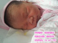 孟先生助孕龙凤胎，事业家庭两得意
