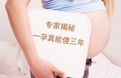 广州代妈专家揭秘“一孕真能傻三年”的真相