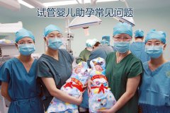 试管婴儿助孕常见问题