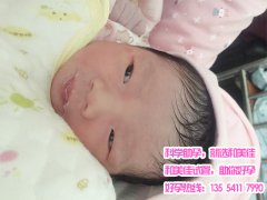 高龄朱女士成功助孕