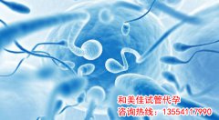 输卵管是生命起源的必经之路